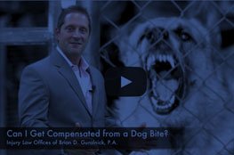Can I Get Compensated From a Dog Bite thumbnail