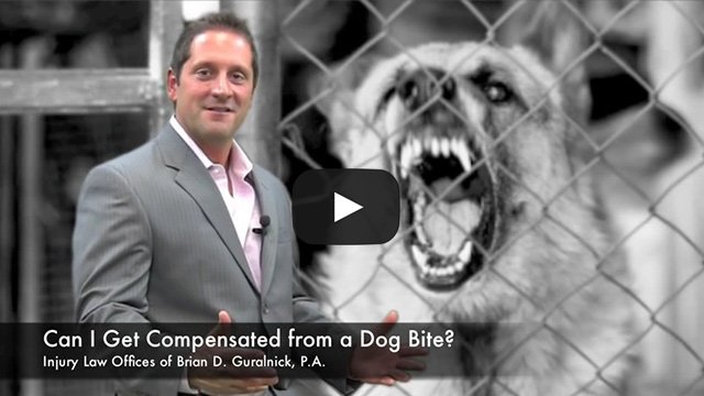 get compensated from dog bite