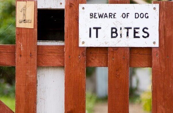 Beware of Dog Sign