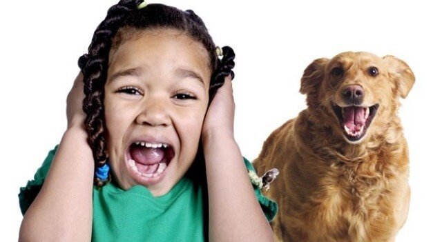 Teaching Your Children How to be Safe Around Dogs